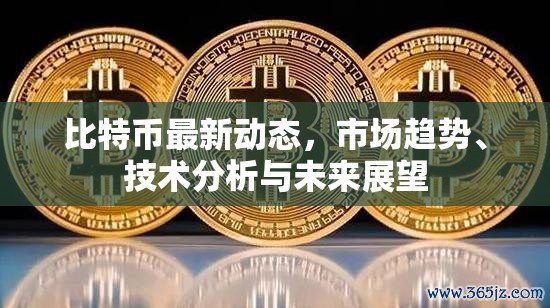 比特币最新动态，市场趋势、技术分析与未来展望