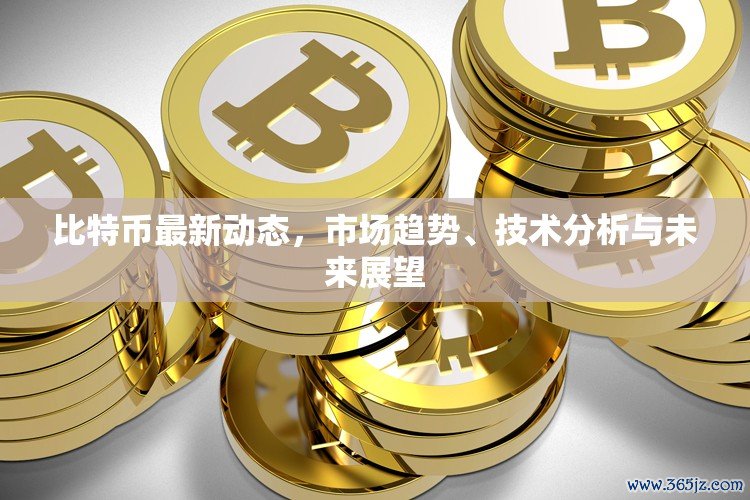 比特币最新动态，市场趋势、技术分析与未来展望